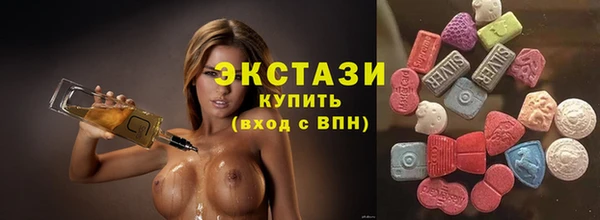 стаф Алзамай