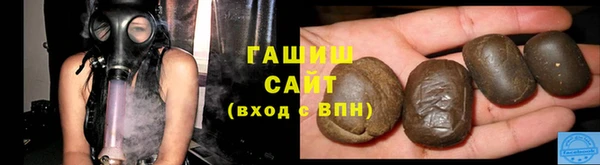стаф Алзамай