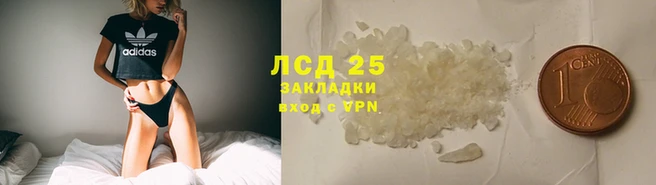 стаф Алзамай