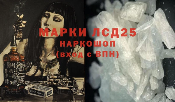 стаф Алзамай
