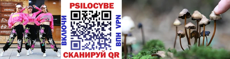 Псилоцибиновые грибы мухоморы  купить  цена  Ишимбай 